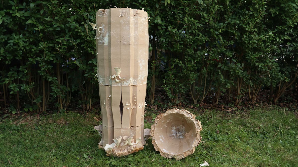 Featured image of You Can 3D Print Your Own ‘Bio-Hybrid’ Beehives Thanks to This Research