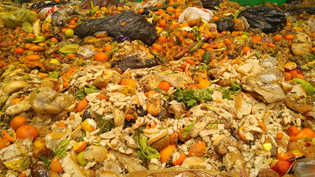 Photo de Matériau 3D le plus fou: Déchets alimentaires