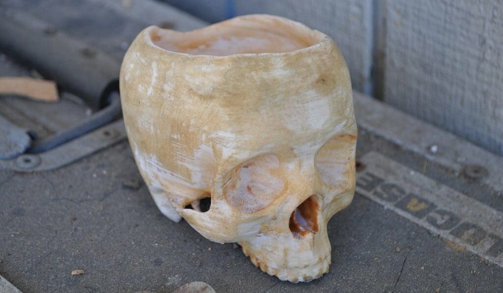 Image of: 16. Bowl