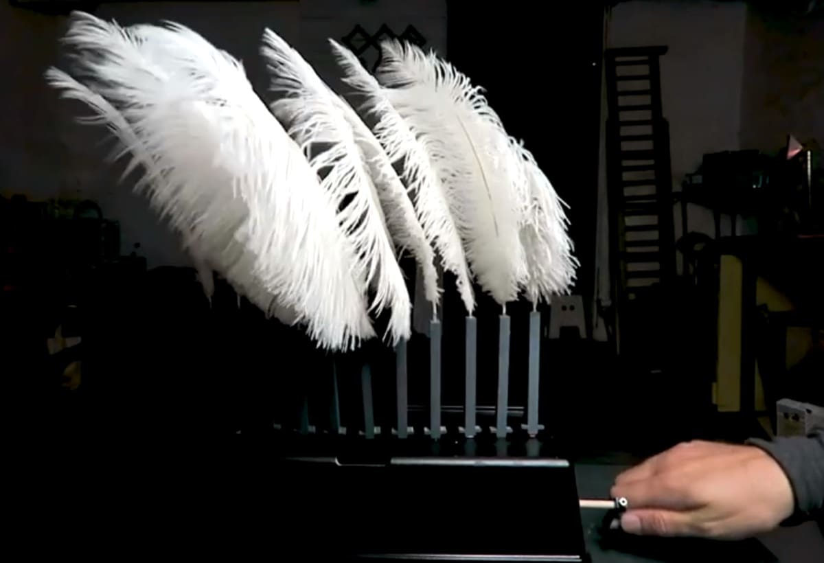 fungus amungus's original feather automaton.