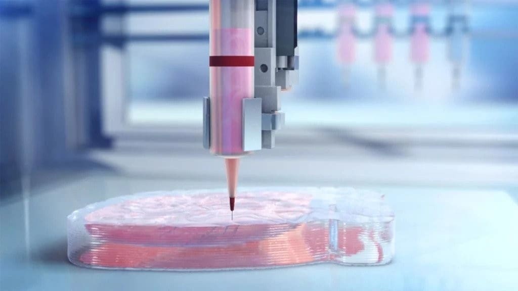 In the future, we may be able to 3D print heart transplants