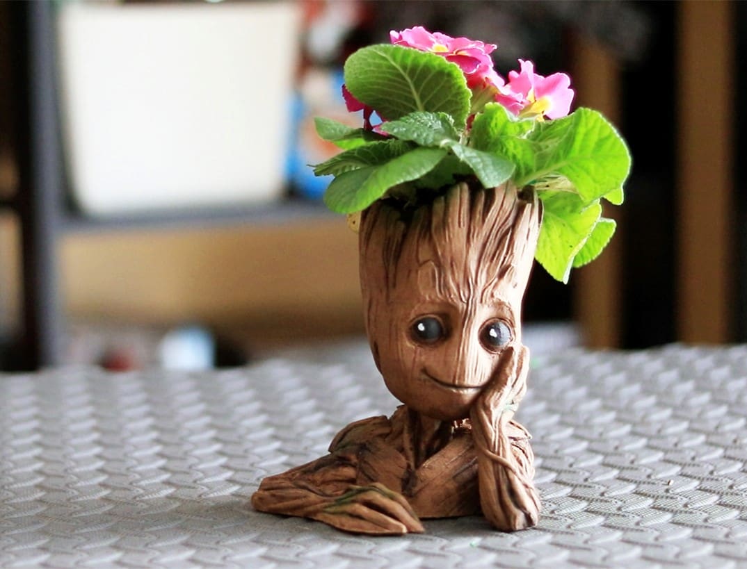 These plants are sure to grow.