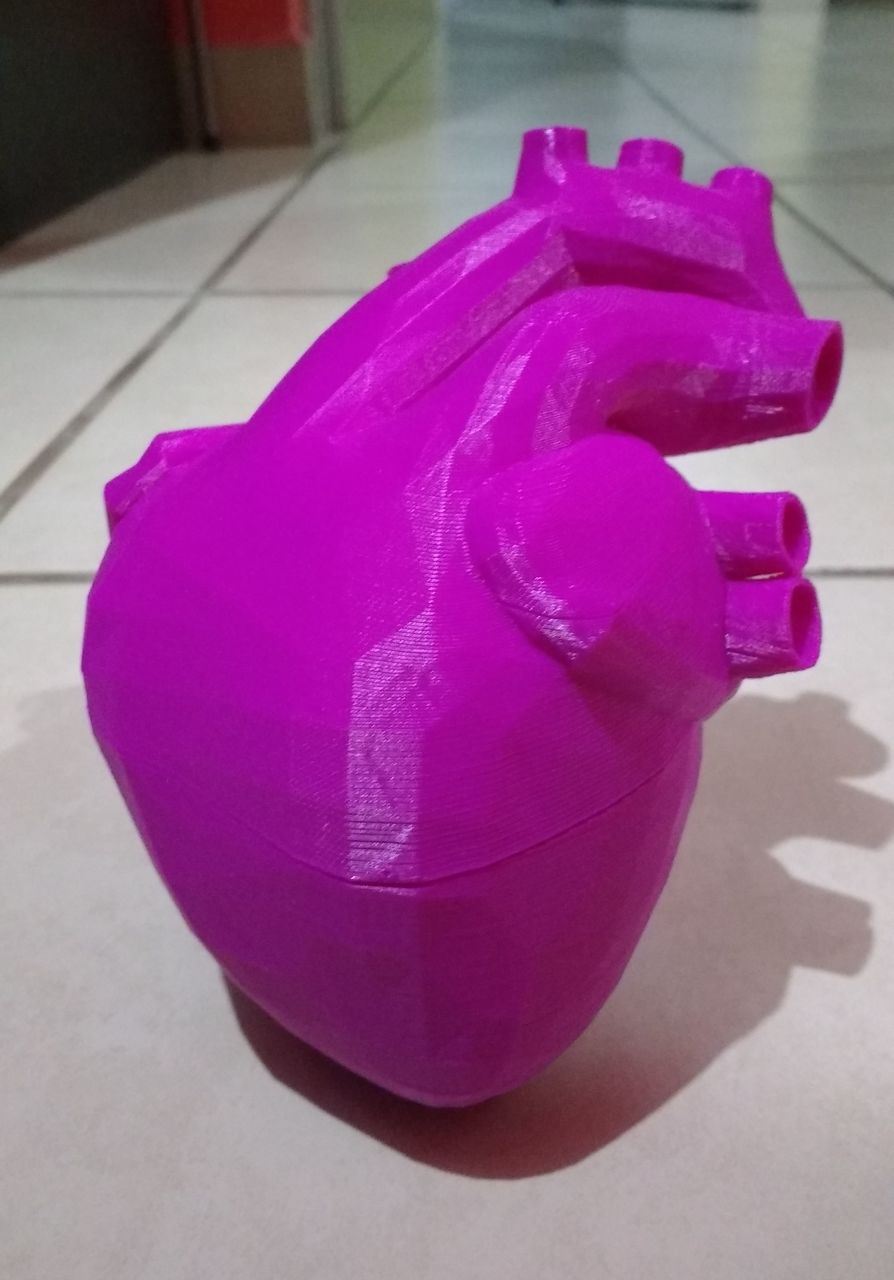 The final result: A poly 3D printed heart.