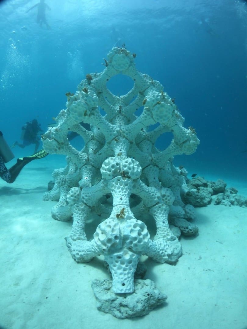 The modular ceramic reef submerged off the coast of the Maldives