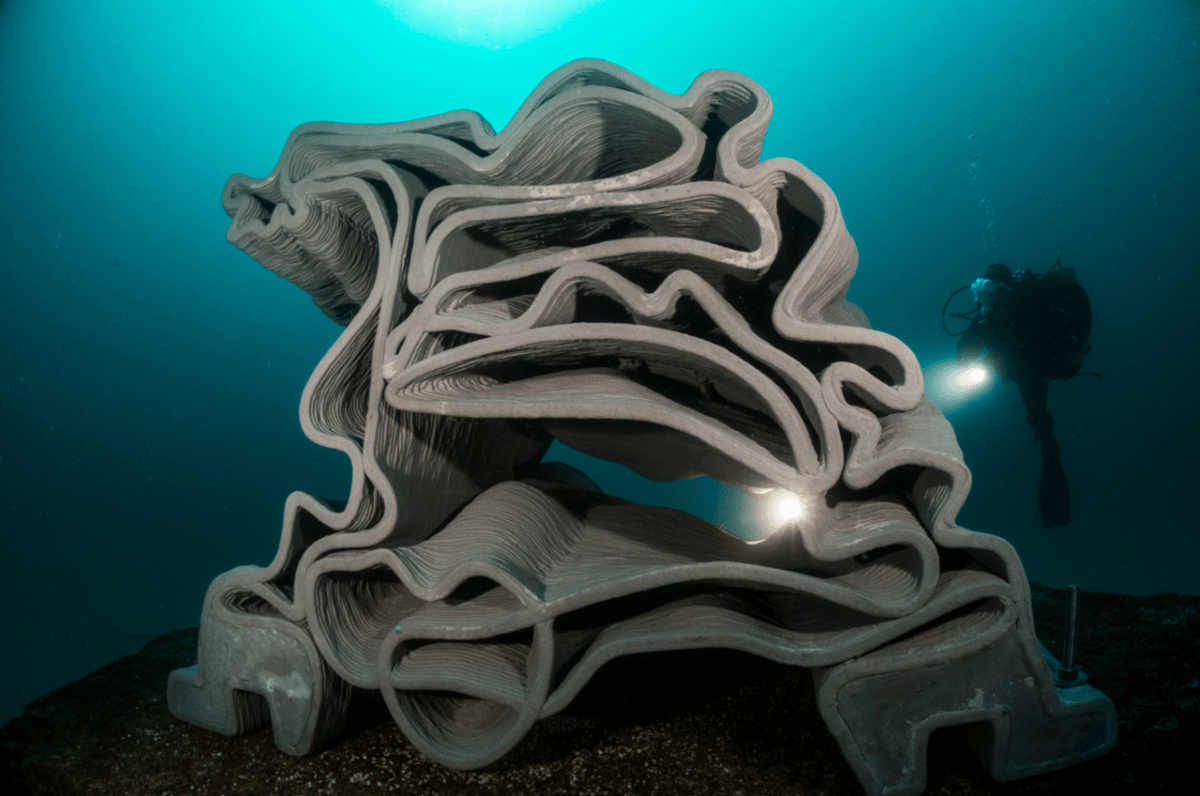 XtreeE’s concrete reef in France’s Calanques National Park
