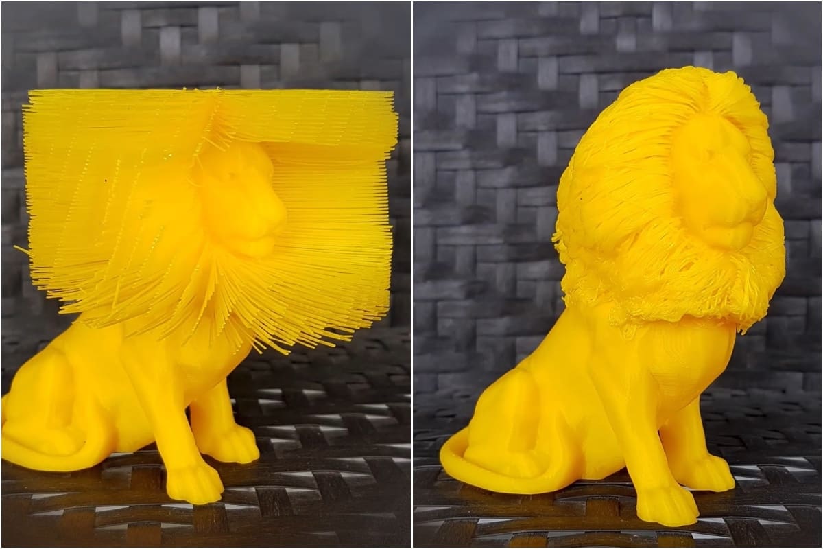 The majestic beast, before and after hairstyling.