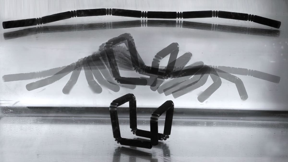 A 4D printing experiment from MIT.