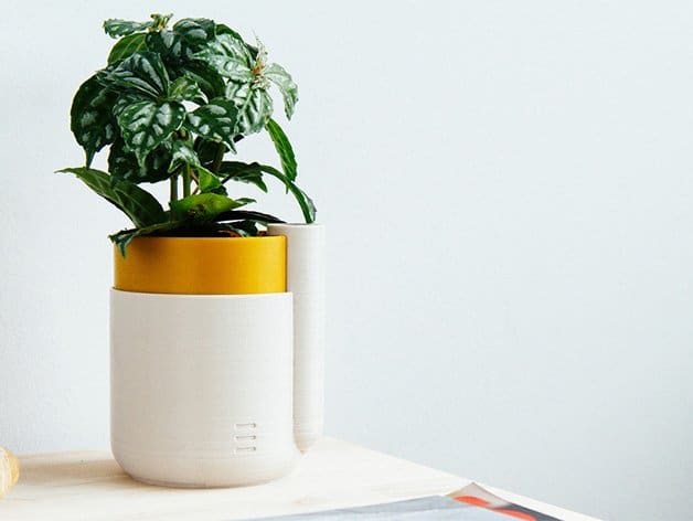 Image of April Fools Pranks: Flower Pot/Planter Problem
