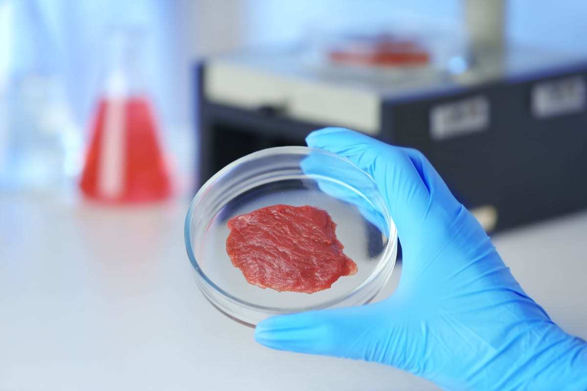 Producers can choose between animal or plant-based products to print.