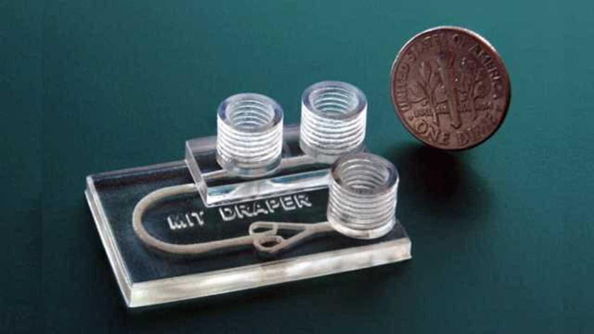 This 3D printed device simulates cancer treatments on biopsied tumor tissue.