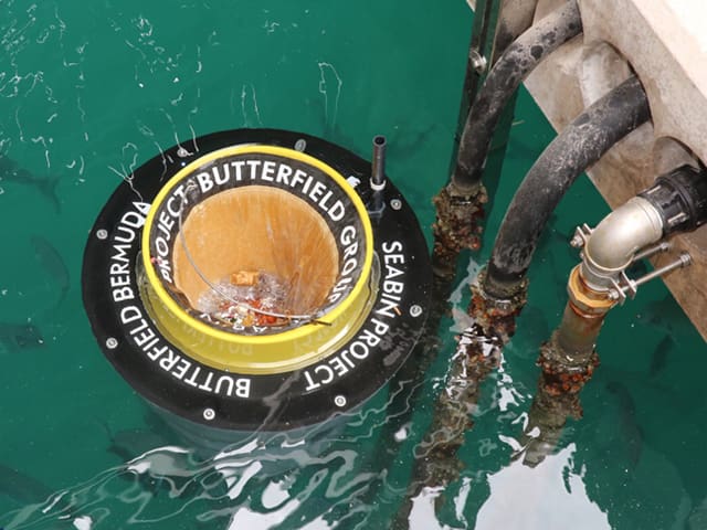 Conected to a pump, the Seabin sucks trash from the water's surface.