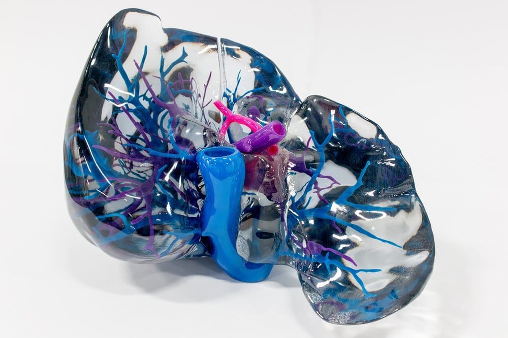 Material jetting makes multi-colored prints like this model possible.
