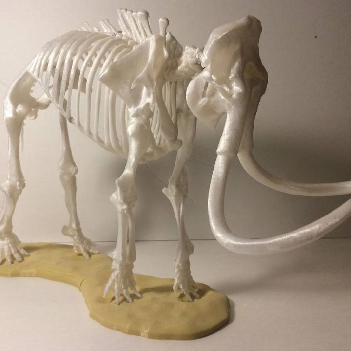A printed mammoth skeleton.