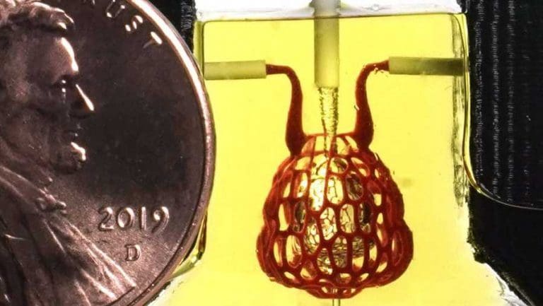 Although the size of a penny, this 