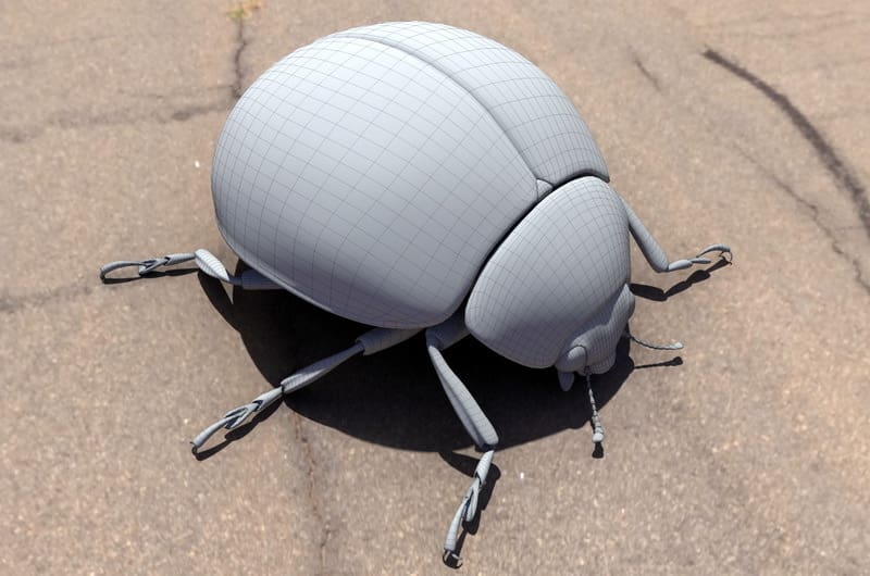 A high-detail leaf beetle model on CadNav