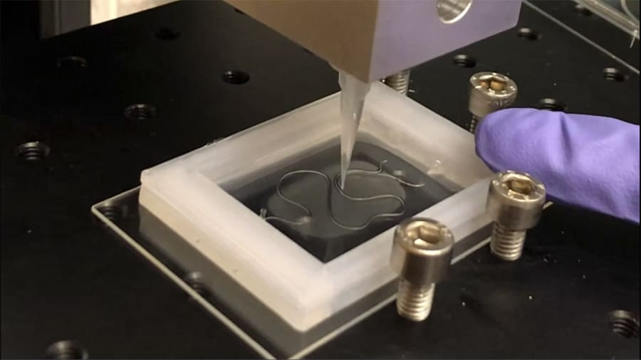 3D printing kidney structures in the Lewis Lab