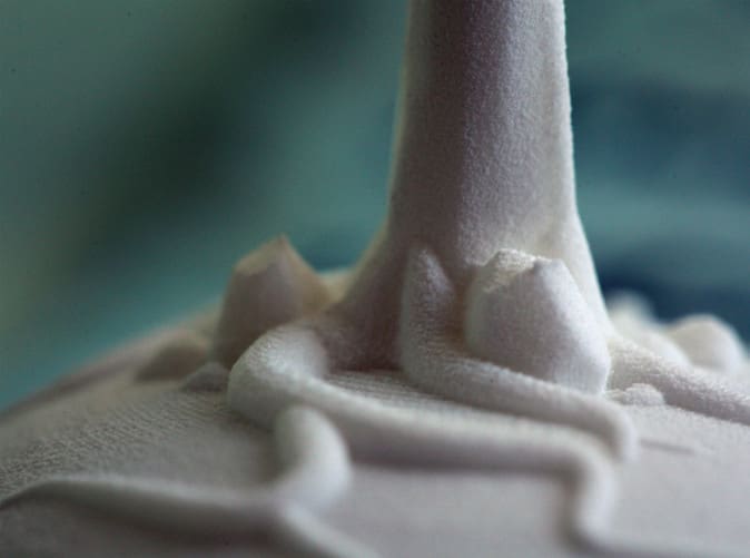 3D printing nature