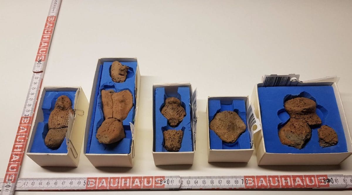 3D scanning archaeological objects yields thousands of useful data points for museums and other curators