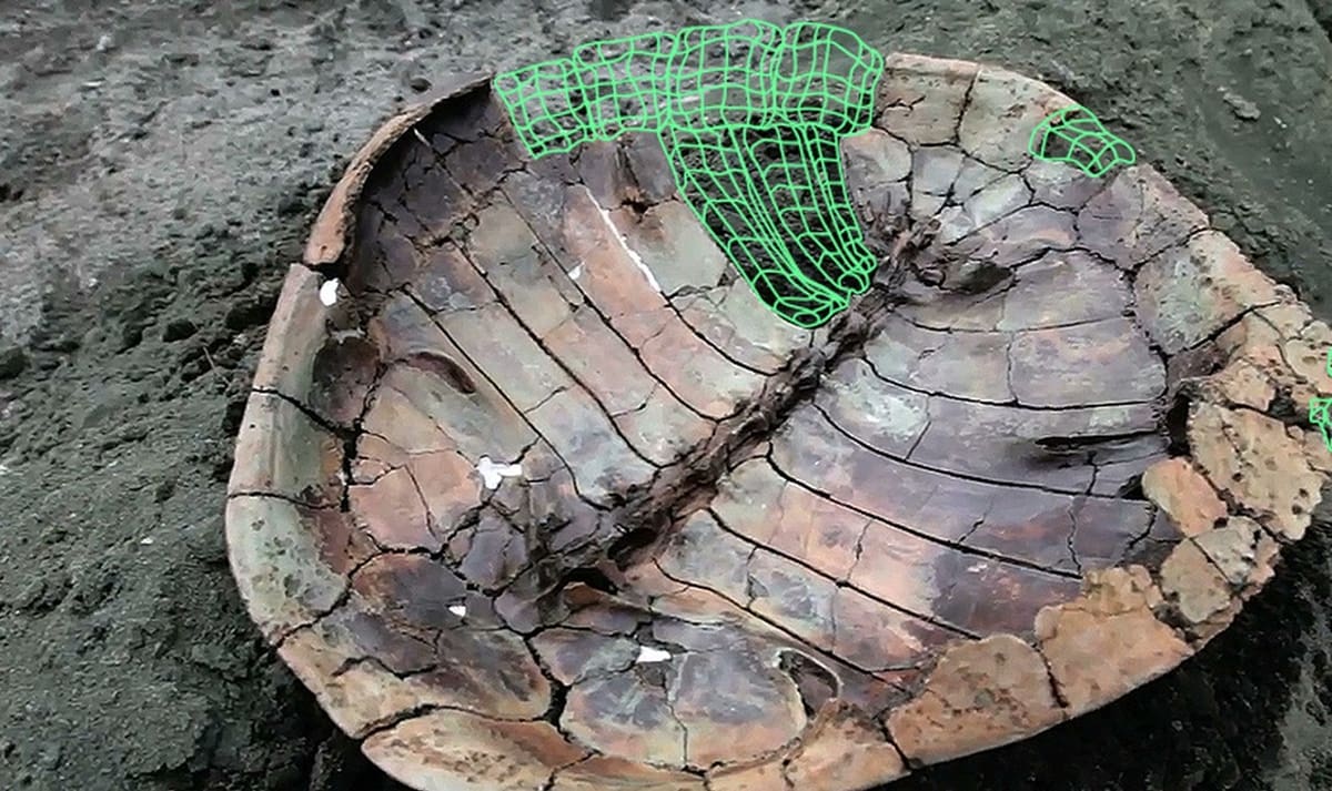 3D printing helps paleontologists complete fossils that have broken or been worn away in places