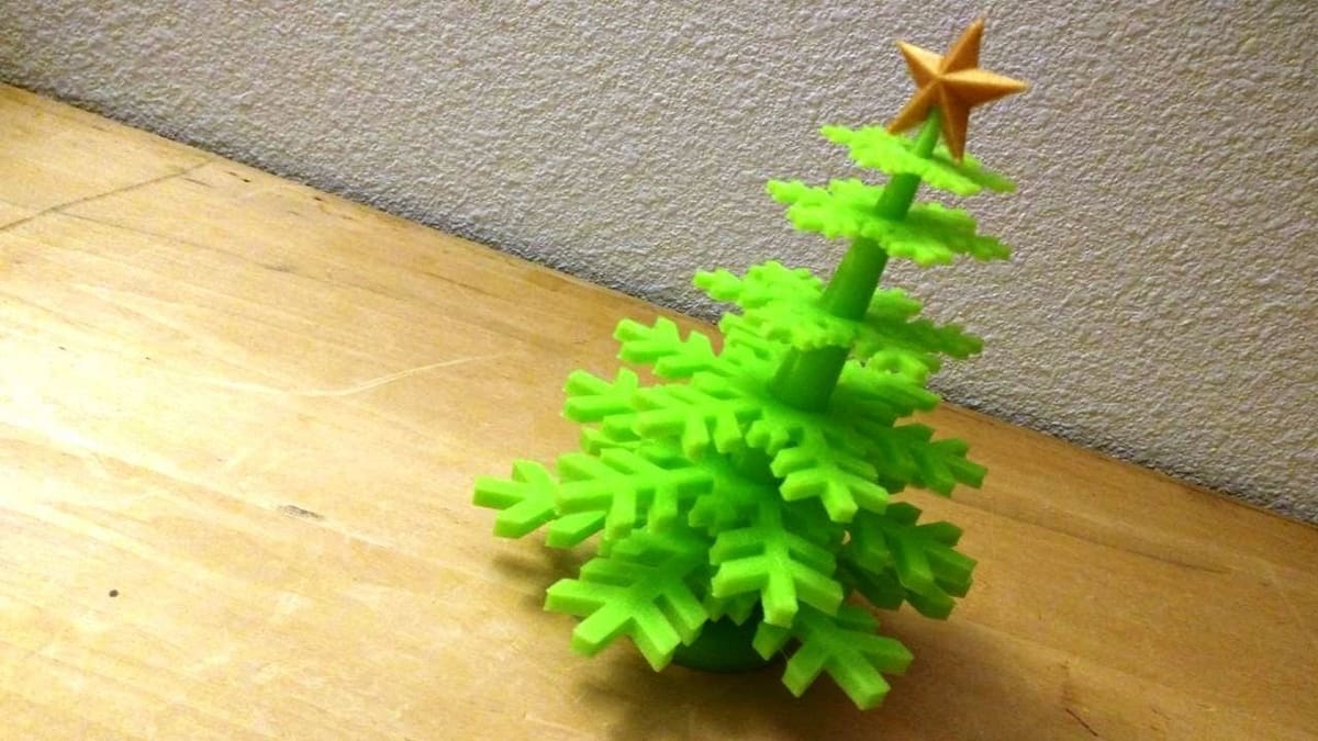This tree is a true evergreen!
