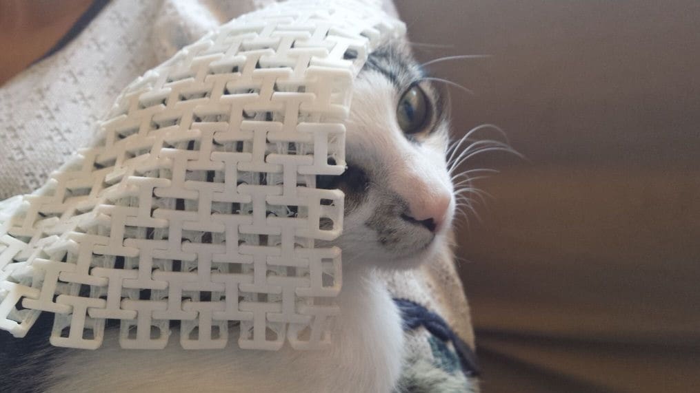 This chainmail is cat-approved!