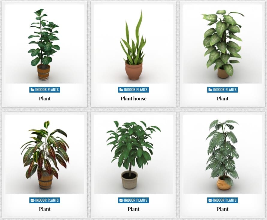 Some examples of 3D printed, potted plants