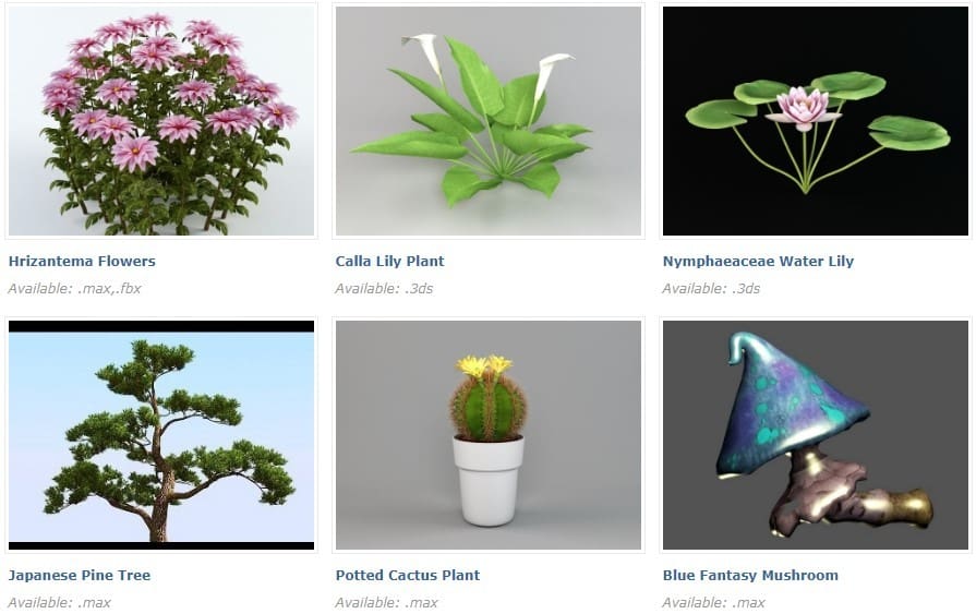 These flowering plants add a bit of color