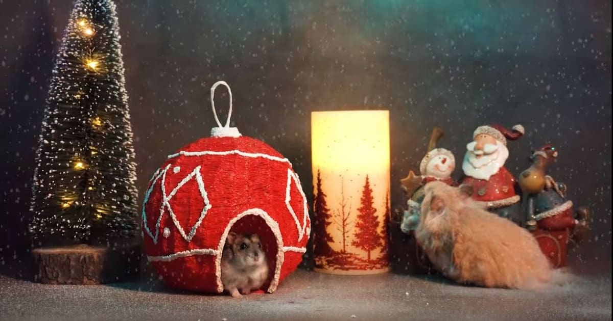 Happy holidays!