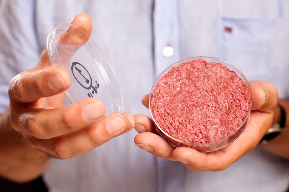 3D printed burger