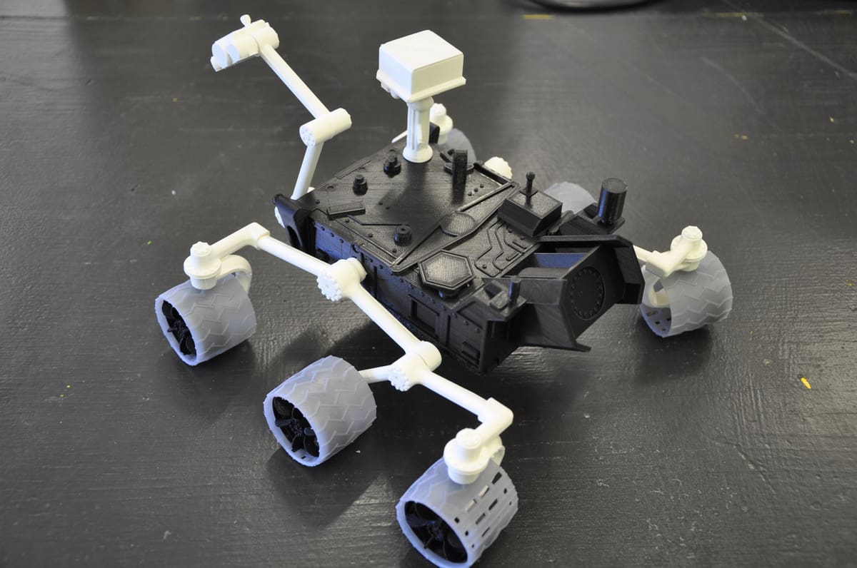 This curious model is ready to rove