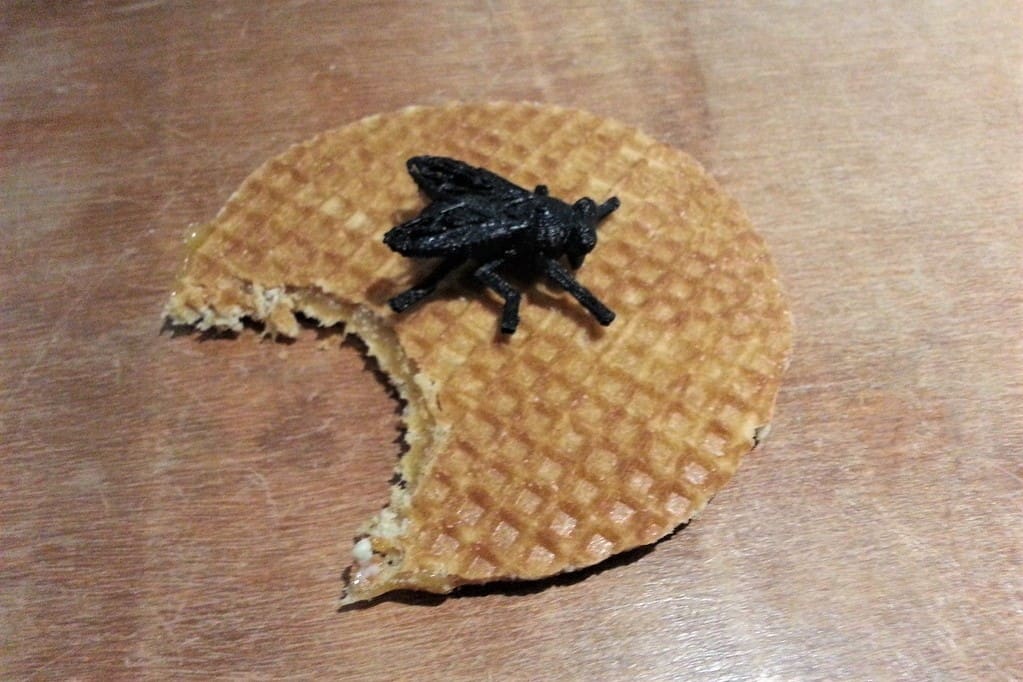 No one's touching this stroopwafel