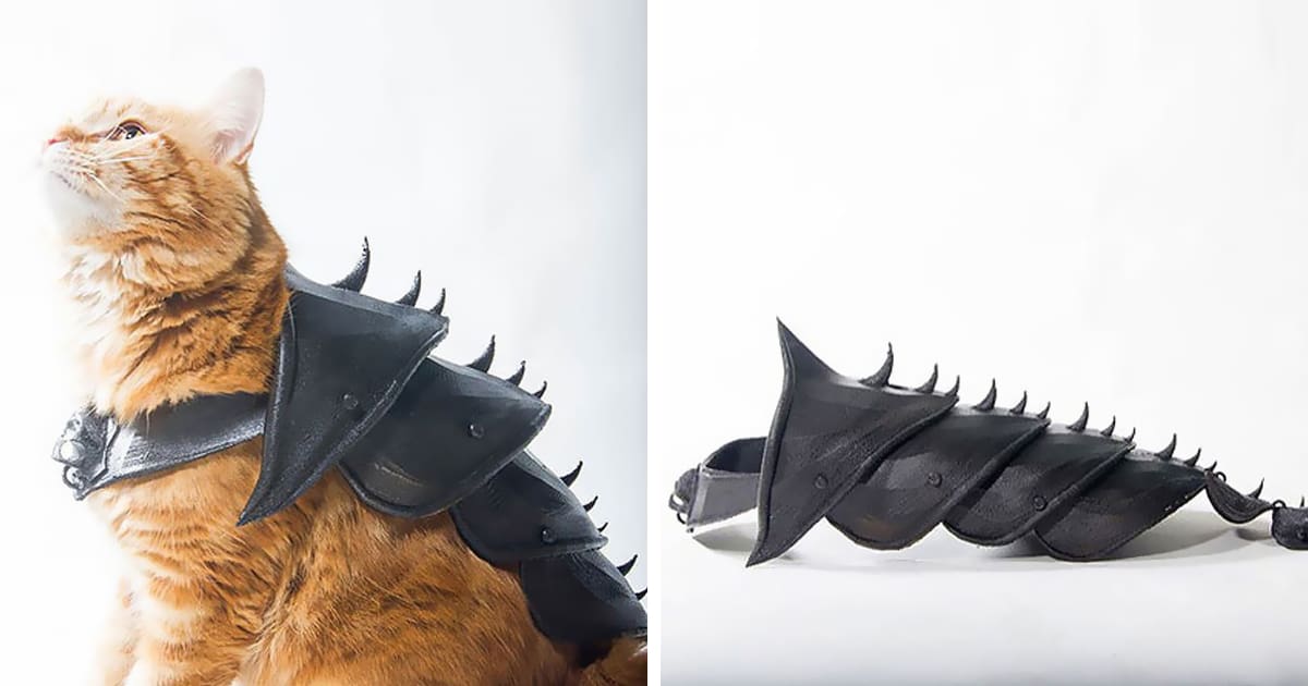 Your cat will be unbeatable with this full length body armor