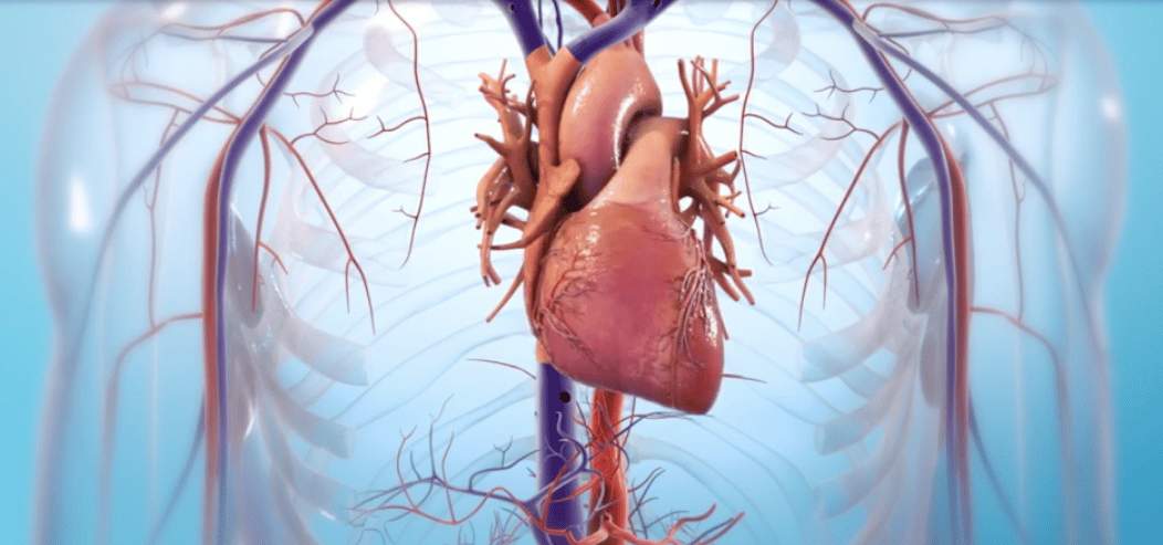Bioprinted organs could eliminate major deficits in the transplant industry