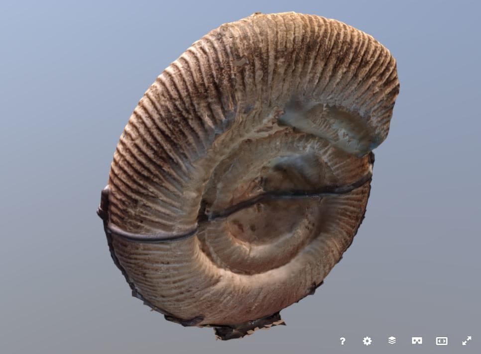 Use the interactive view to see all sides of the model
