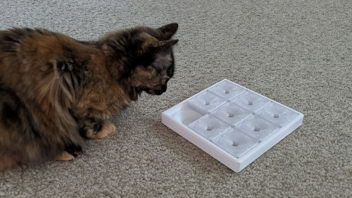 catokuYou can place a small cat treat under the movable squares