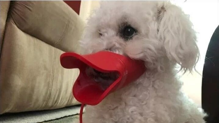 This muzzle was designed to look like a duck beak