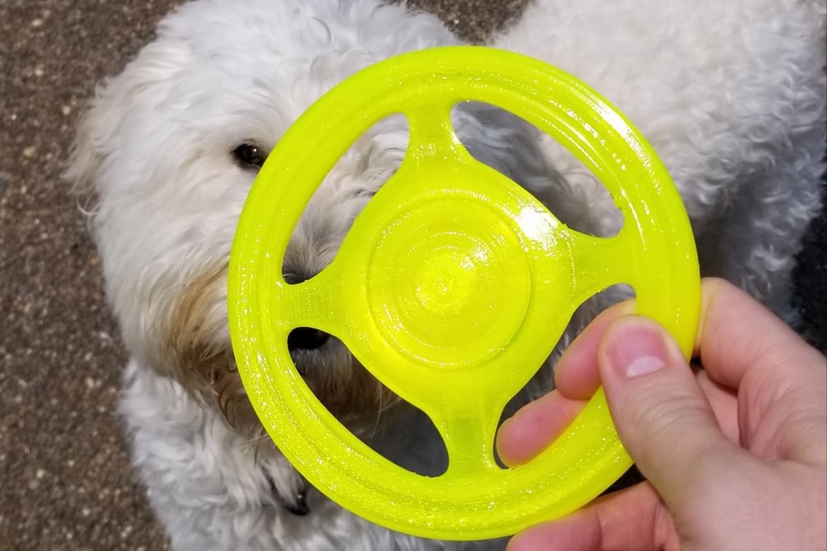 Hours of fun at the dog park