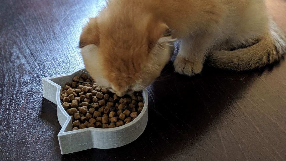 Making your cats eating time more fun