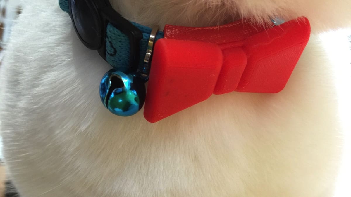 Image of: 23. Bow Tie