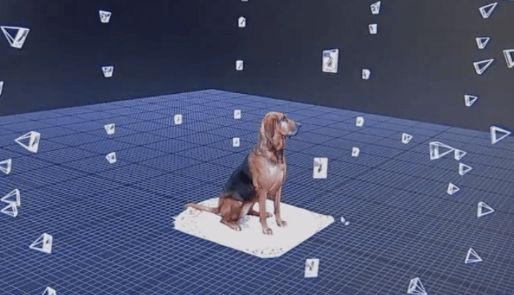 Your dog will be photographed with over 80 cameras at Calgary's GravityB