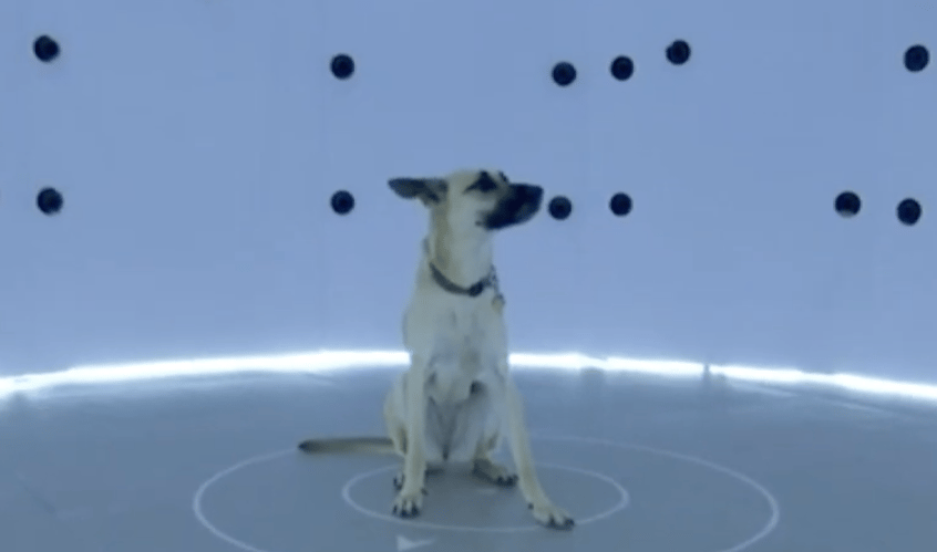 3D Bean uses 94 cameras to create a 3D model of your dog