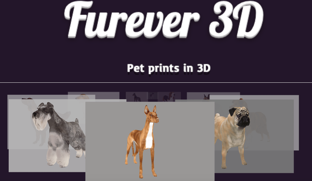 A few examples of 3D models created