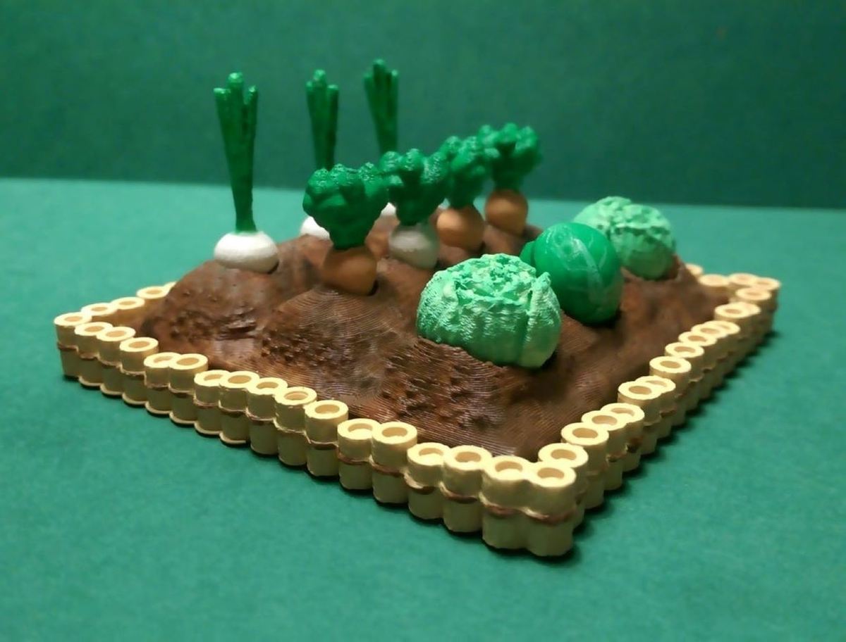 A fun little vegetable garden for the kids
