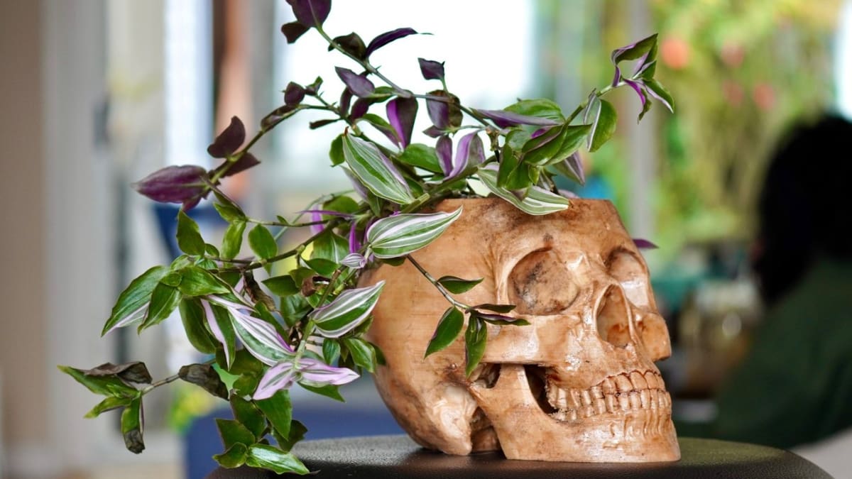Image of: 19. Pot