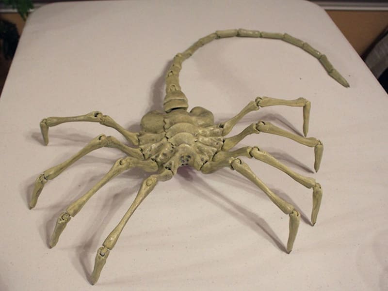 Scare your friends or yourself!They Mostly Come Out at Night