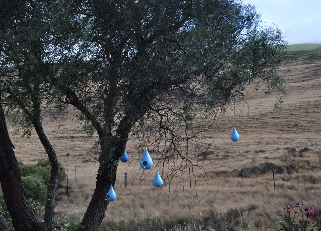 A birdhouse village hanging out