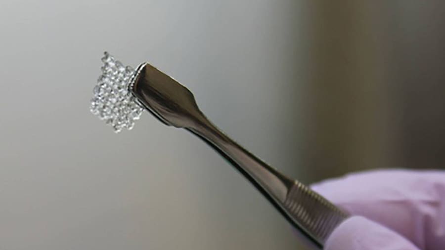 A piece of the scaffold structure of a mouse ovary