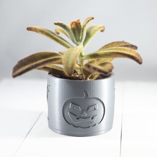 Give your plant a spooky vibe