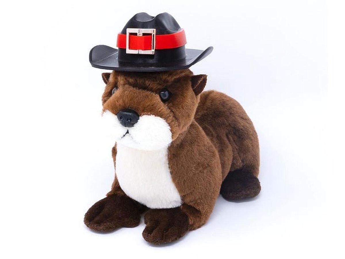An adorable Thanksgiving hat for a fuzzy friend