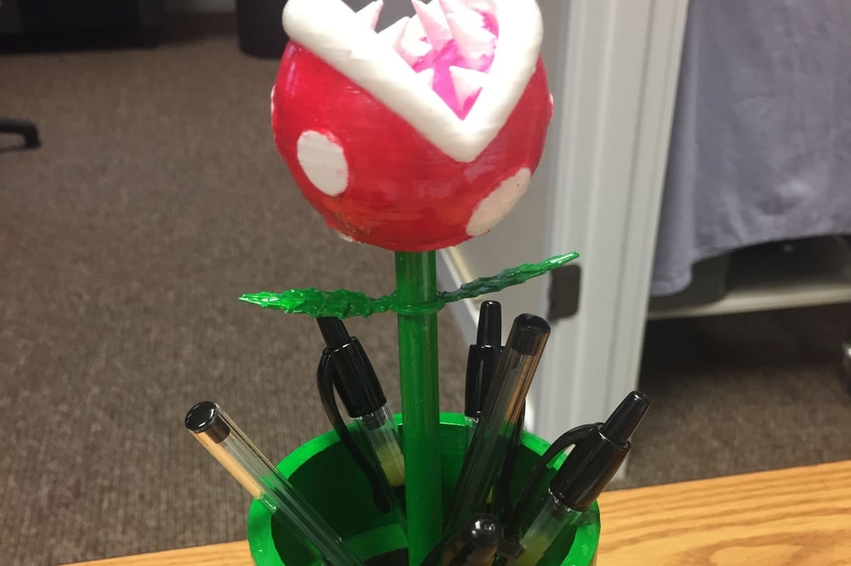 Watch out for that Piranha Plant!